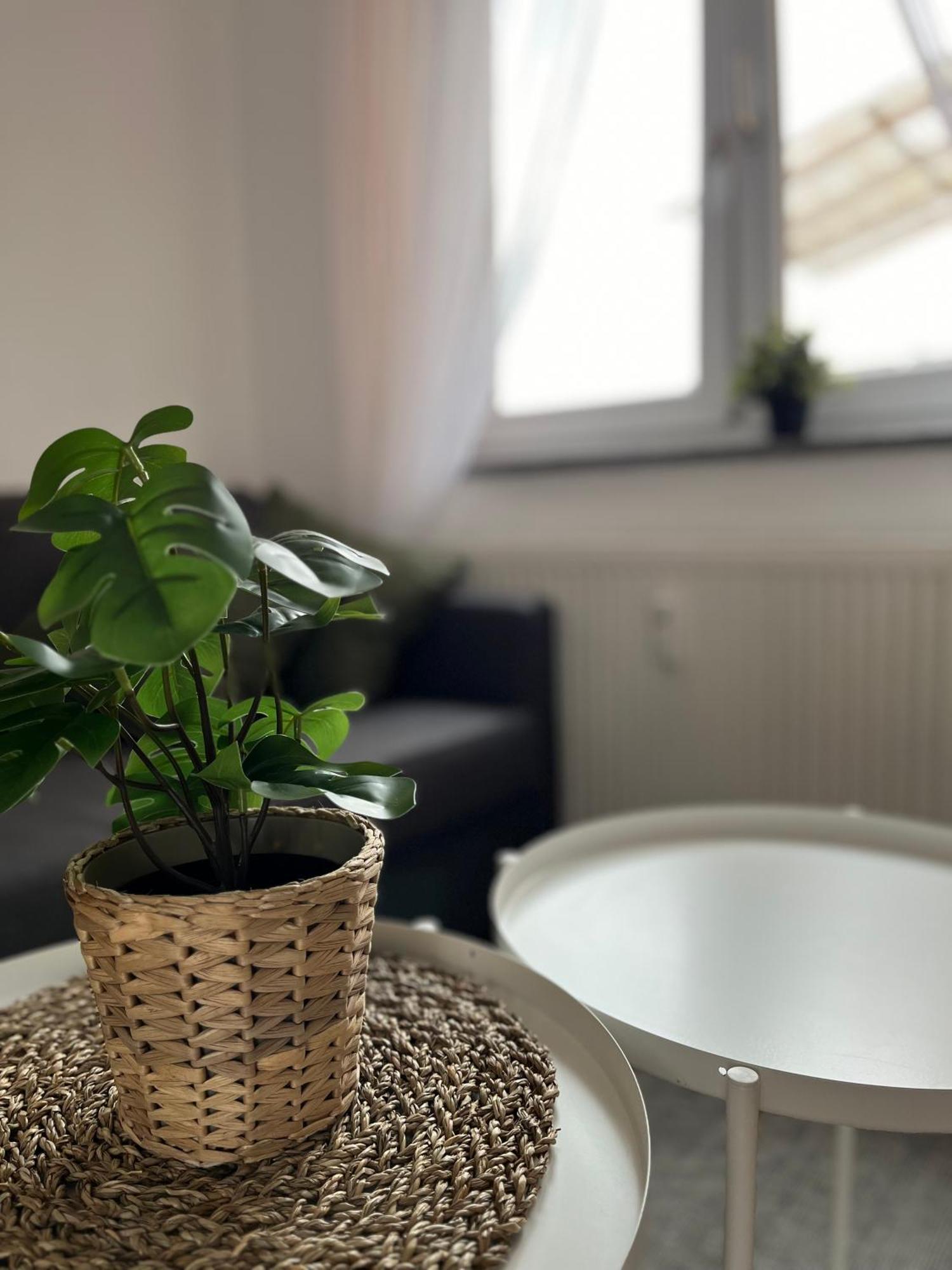 Apartment Hifa Fewo *